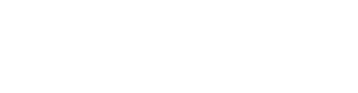 Elevon — IT Consulting